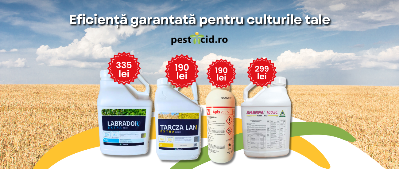 BANNER PRETURI PROMO 27 OCTOMBRIE - 2 NOIEMBRIE DESKTOP