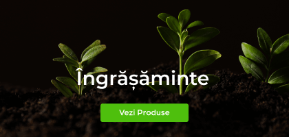 Ingrasaminte