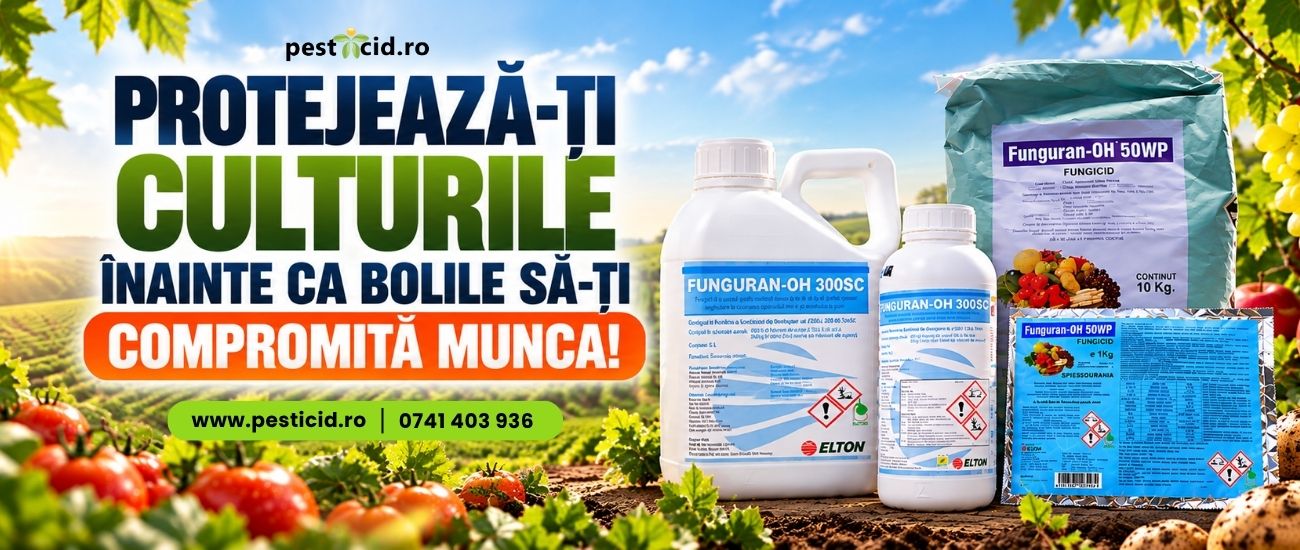 PROTEJEAZĂ-ȚI CULTURILE ÎNAINTE CA BOLILE SĂ-ȚI COMPROMITĂ MUNCA!