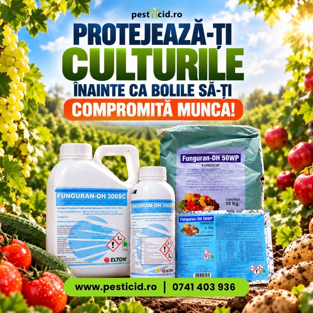 PROTEJEAZĂ-ȚI CULTURILE ÎNAINTE CA BOLILE SĂ-ȚI COMPROMITĂ MUNCA!