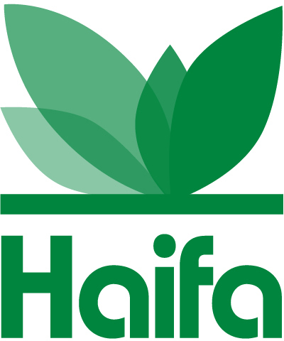 Haifa