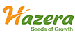 Hazera