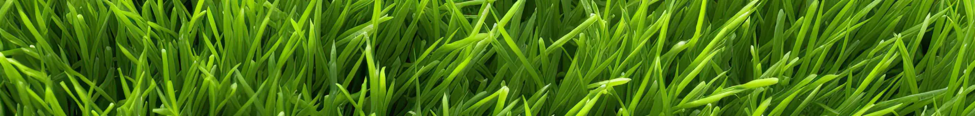 Accesorii şi consumabile întreţinere gazon