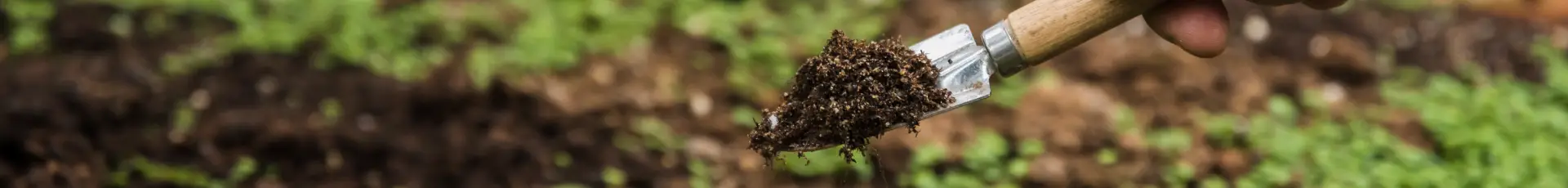 Îngrășăminte granulate