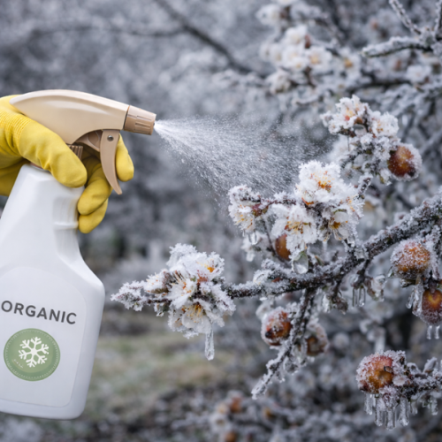 Solutii Anti Îngheț