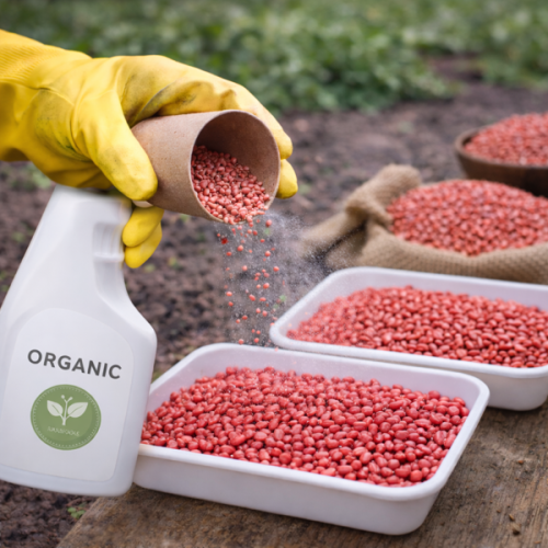 Tratament sămânță