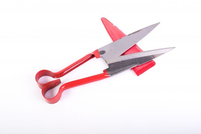 Foarfeci - Foarfeca Micul Fermier pentru tuns oi, culoare Rosu