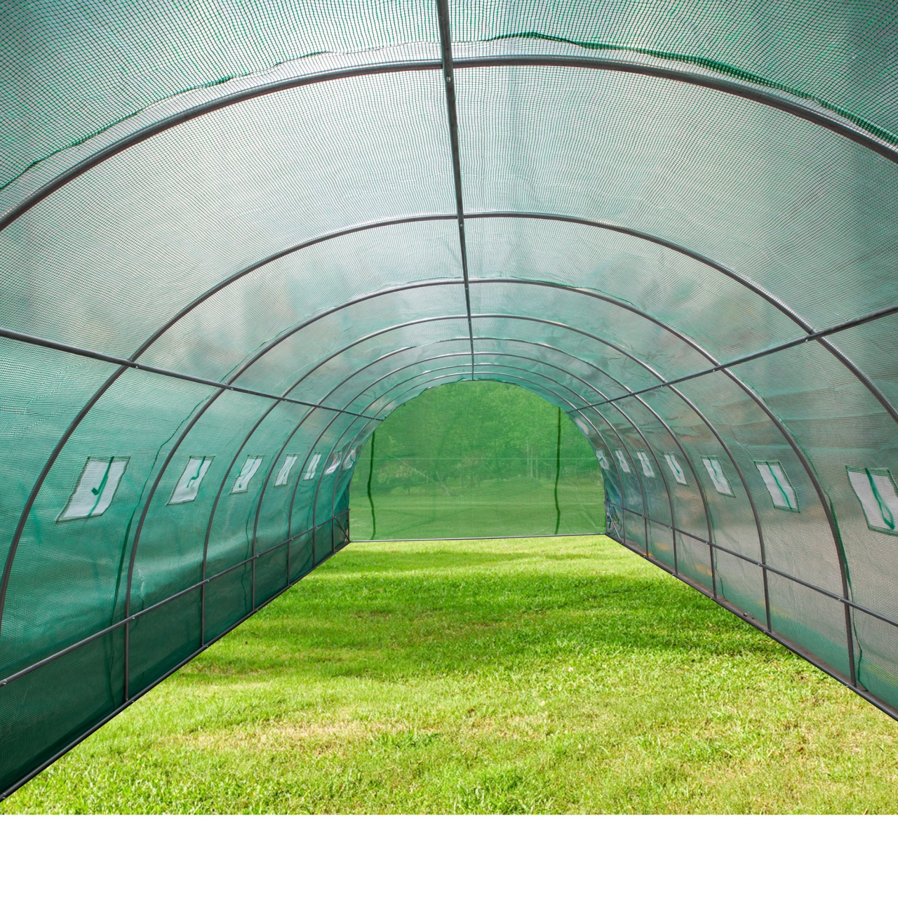 Solar/Sera Micul Fermier 8x4x2.5m , polietilena, densitate 140g/mp UV4 [5]