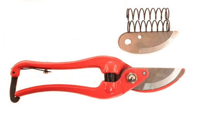 Foarfeca vie CLK cu rezerva [2]