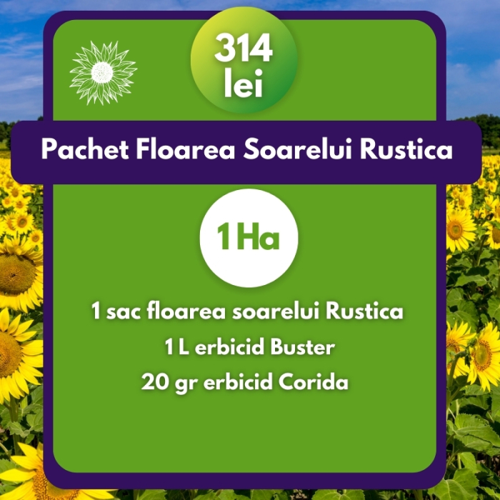 Pachet Floarea Soarelui Rustica-1 Ha [1]
