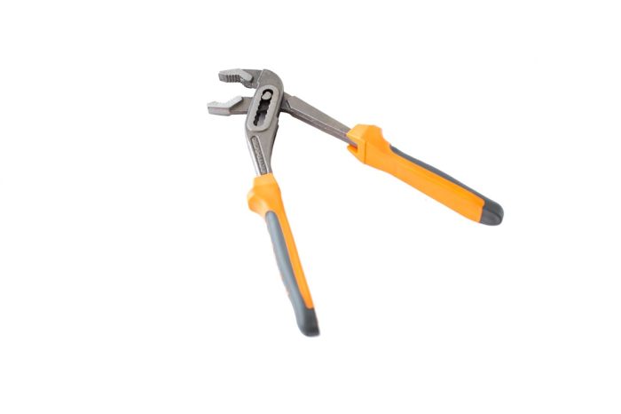 Papagal MODEL NOU [4]