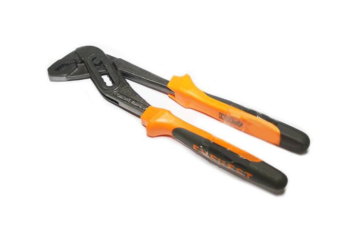 Papagal MODEL NOU [2]