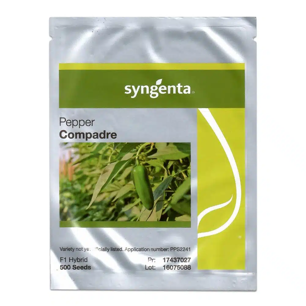 Semințe de ardei Compadre F1 [1]
