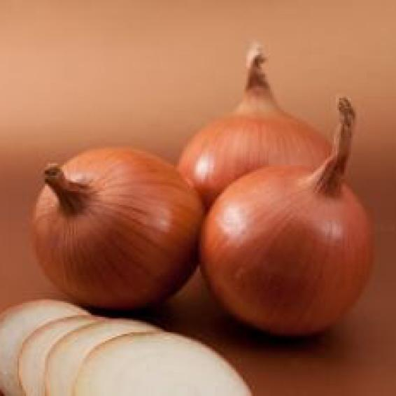 Semințe de ceapă Bosko F1 [1]