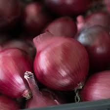 Semințe de ceapă Darko F1 [1]