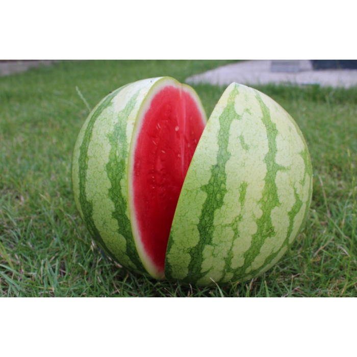 Semințe de pepene verde Kasmira F1 [1]