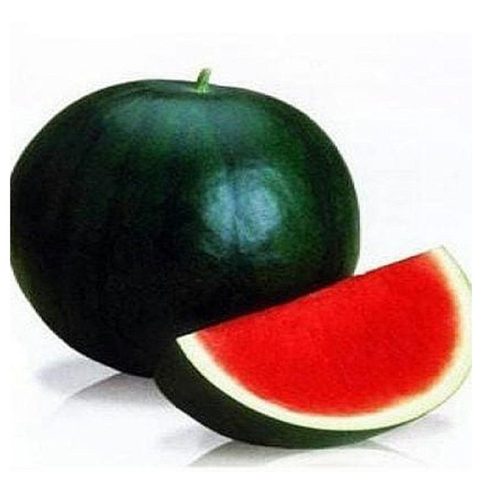 Semințe de pepene verde Morena F1 [1]