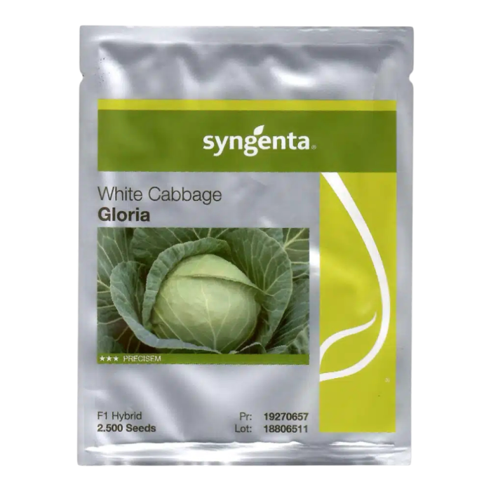 Semințe de varză albă Gloria F1 [1]