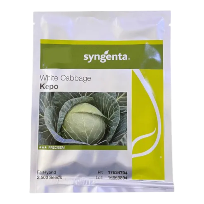 Semințe de varză albă Kepo F1 [1]