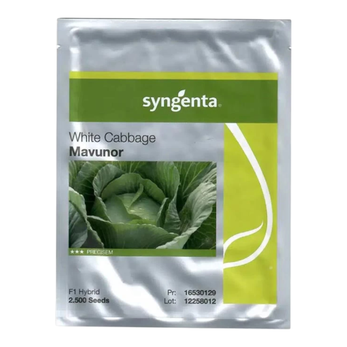 Semințe de varză albă Mavunor F1 [1]