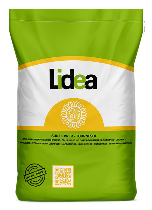 Seminţe Floarea Soarelui ES Belfis CLP Boost & GO [1]