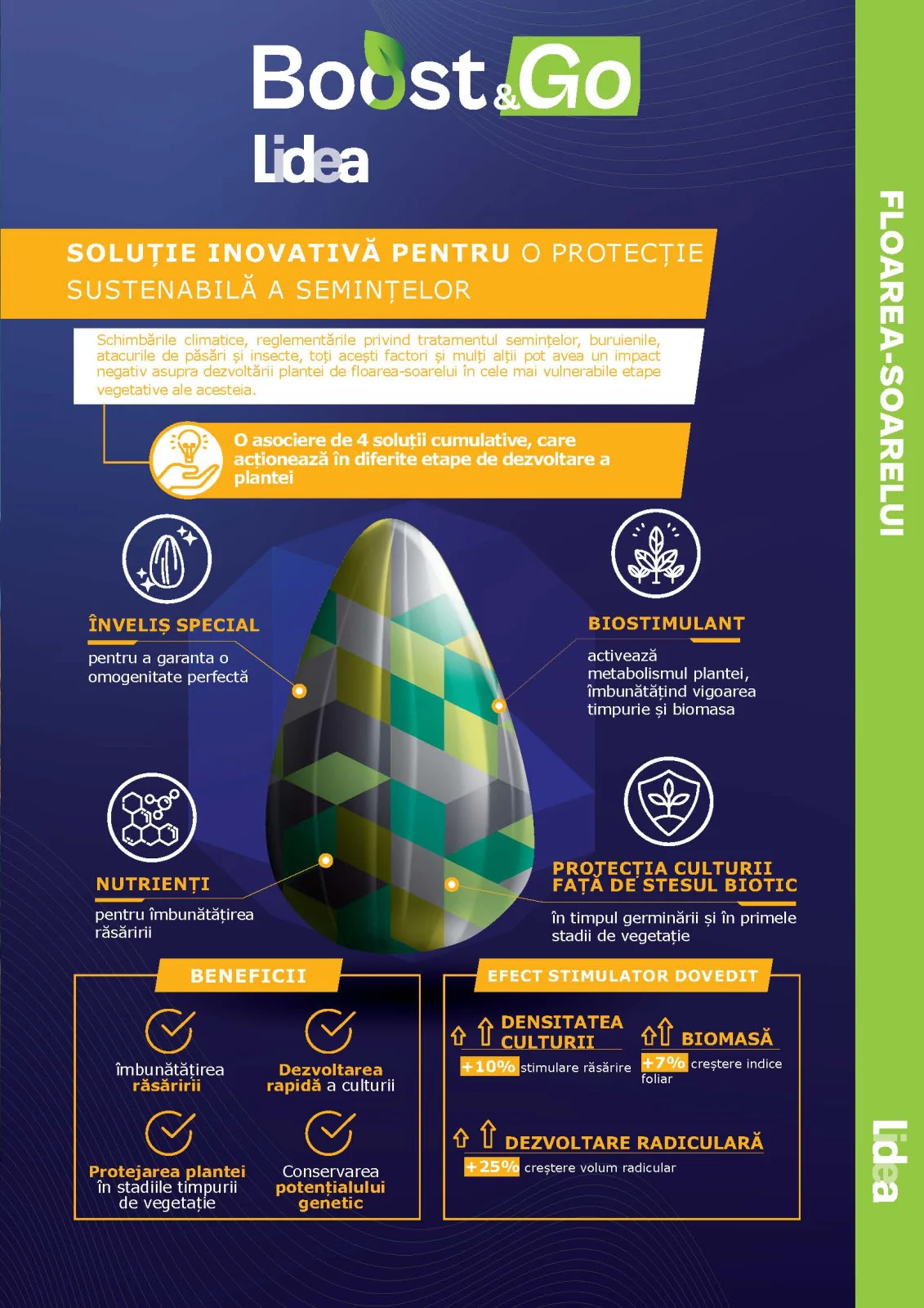 Seminţe Floarea Soarelui LID 5053L SU Boost & GO [2]