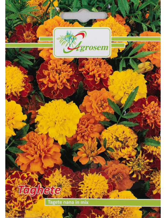 Semințe Fori Taghete Nana Mix, 1 gr [1]