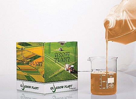 Îngrășăminte - Îngrășământ GROW PLANT GEL 20-0-65 + 2% MGO + ME