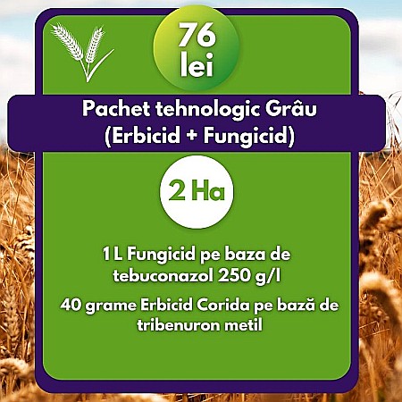 Pachete comerciale - Pachet tehnologic Grâu- Erbicid + Fungicid- 2 Ha