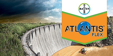 Cereale păioase - Erbicid Atlantis Flex