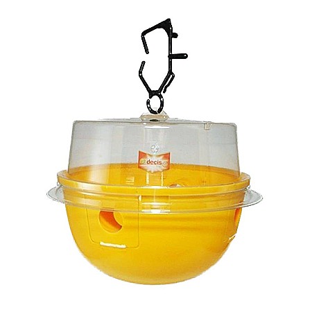 Capcana Decis Trap [1]