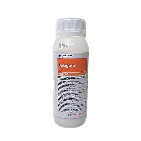 Insecticide - Insecticid Delegate