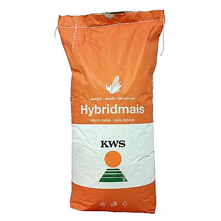 Seminţe și material săditor - Seminţe Porumb KWS Kapitolis