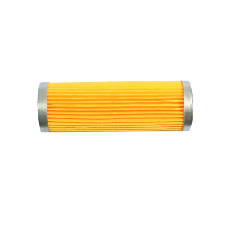 Întreținere casă și fermă - Element ansamblu filtru motorina motocultor / motosapa diesel 186F