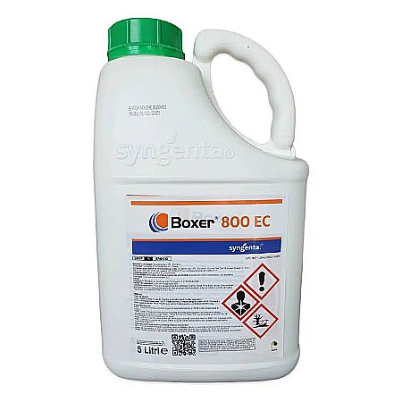 Cartofi - Erbicid Boxer 800 EC