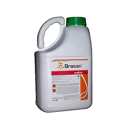 Rapiță - Erbicid Brasan