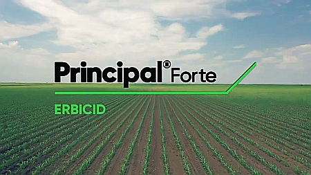 Porumb - Erbicid Principal Forte + Adjuvant Vivolt