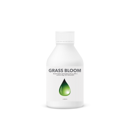 Îngrășăminte Ecologice - Fertilizant EC special pentru gazonul din curte, Grass Bloom
