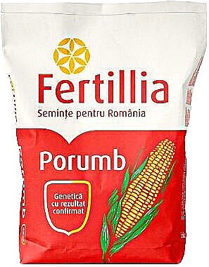 Porumb - Semințe Porumb Olt