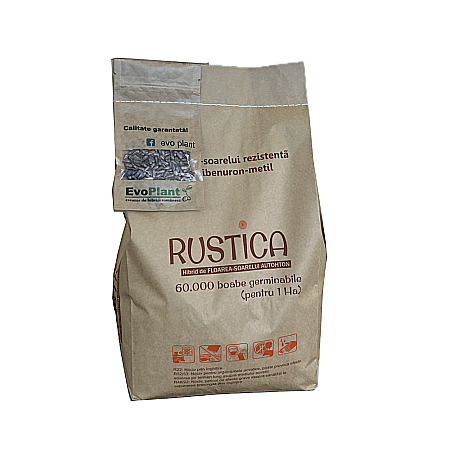 Floarea Soarelui - Seminţe Floarea Soarelui Rustica