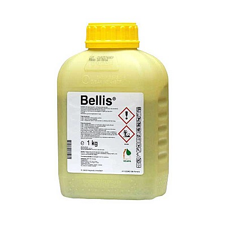 Livezi - Fungicid Bellis