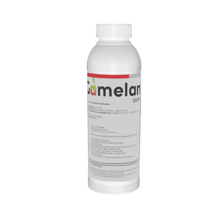 Tratament sămânță - Fungicid Gamelan 100 FS