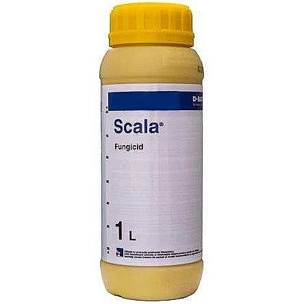 Legume - Fungicid Scala