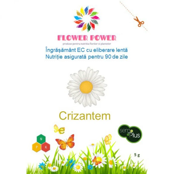 Tratamente pentru Flori - Îngrășământ Flower Power pentru crizanteme cu eliberare lentă, efect 90 zile