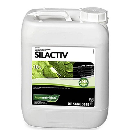 Îngrășăminte - Îngrășământ Silactiv K