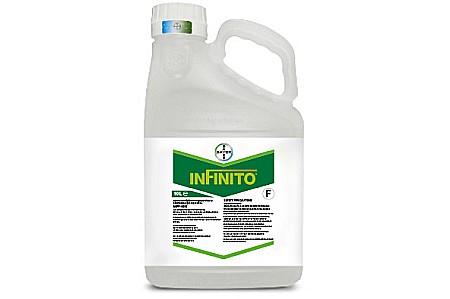 Legume - Fungicid Infinito 687,5 SC