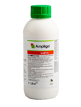 Legume - Insecticid Ampligo
