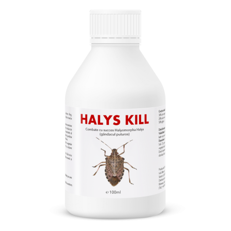 Agricultura ecologică - Insecticid organic de contact și repelent împotriva gândacului puturos, Halys Kill