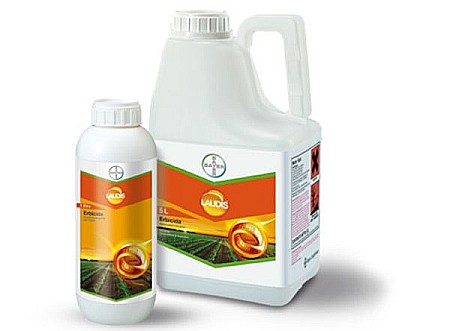 Porumb - Erbicid Laudis OD 66