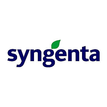 Sfeclă - Fungicid Amistar Gold